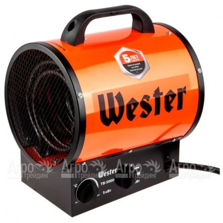 Тепловентилятор электрический Wester TB-5000 в Челябинске