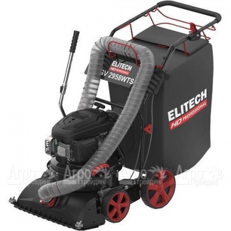 Пылесос садовый бензиновый Elitech HD GV 2958WTS (E1608.008.00) в Челябинске