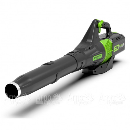 Воздуходувка аккумуляторная GreenWorks GD60ABK4  в Челябинске