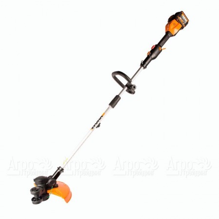 Триммер аккумуляторный Worx WG184E.9 (без аккумулятора и ЗУ) в Челябинске