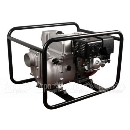 Бензиновая мотопомпа DDE PTR100H в Челябинске