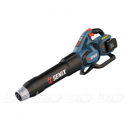 Воздуходувка аккумуляторная Senix BLAX2-M2-EU в Челябинске