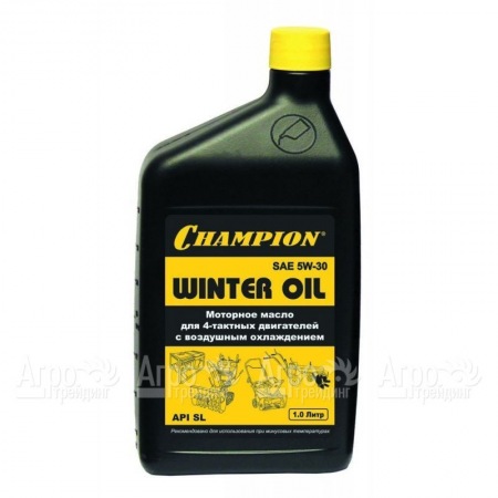 Масло минеральное Champion SAE 5W30 1 л для 4-х тактных двигателей в Челябинске