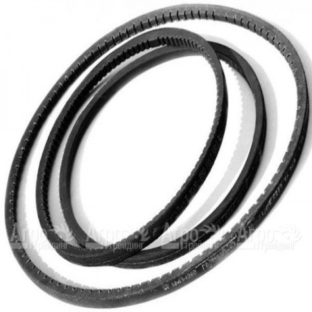 Комплект ремней хода для мотоблока Салют в Челябинске