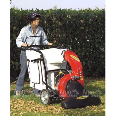 Agrinova AS10i Профессиональный парковый пылесос/воздуходувка самоходный в Челябинске