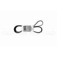 Pubert 0306030032 Ремень привода для Promo в Челябинске