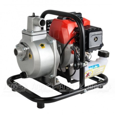 Бензиновая мотопомпа DDE PN25-II в Челябинске
