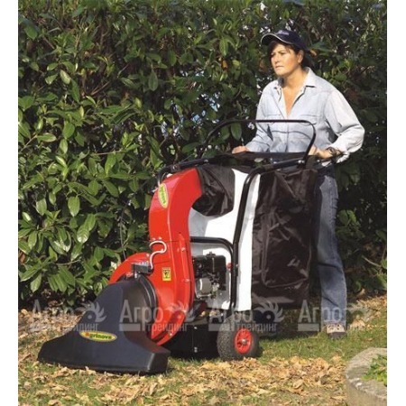 Agrinova AS10D1-SL Профессиональный парковый пылесос/воздуходувка самоходный (без измельчителя, с боковой щеткой) в Челябинске