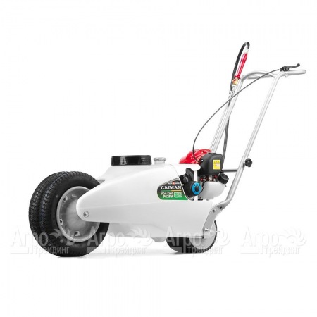 Опрыскиватель бензиновый Caiman Fog King PS25W в Челябинске