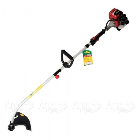 Бензокоса (бензиновый триммер) DDE GT250L в Челябинске
