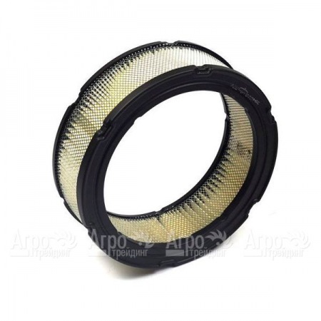 Воздушный фильтр Briggs&#38;Stratton 00002 в Челябинске