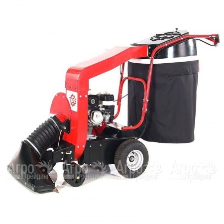 Садовый пылесос TOSS LV-250 в Челябинске