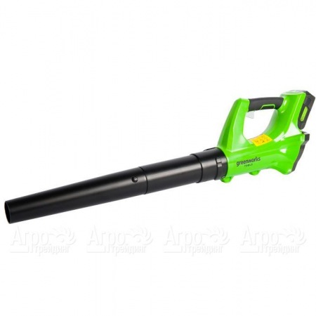 Воздуходувка аккумуляторная GreenWorks G24ABK2 в Челябинске