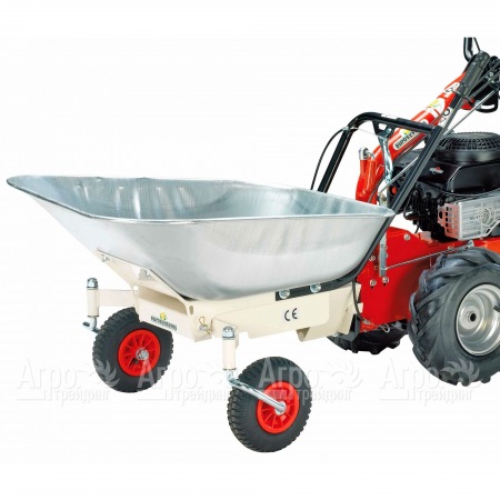 Оцинкованная тачка для Eurosystems P 70 в Челябинске