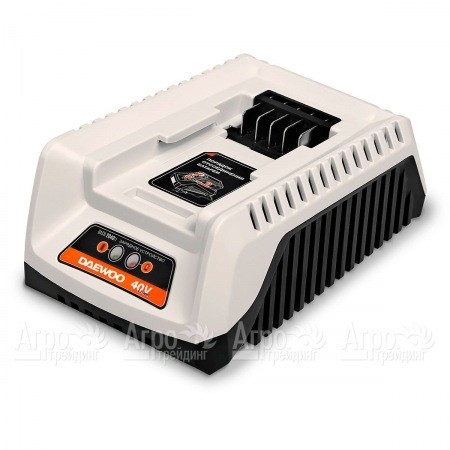 Универсальное зарядное устройство Daewoo DACH 2040Li в Челябинске