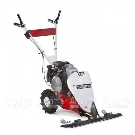 Бензиновая сенокосилка Tielburger T40 с двигателем Briggs&#38;Stratton в Челябинске