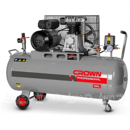 Компрессор воздушный Crown CT36031  в Челябинске