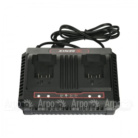 Зарядное устройство CHDX2-M-EU для аккумуляторной техники Senix  в Челябинске