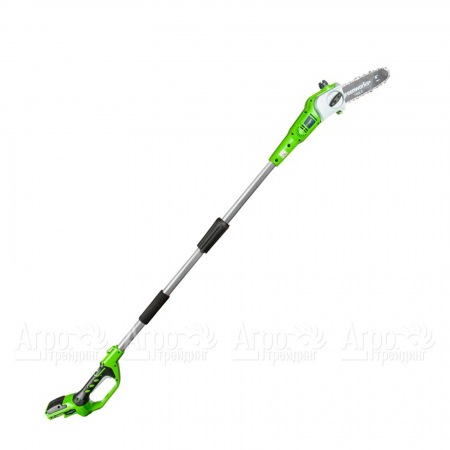 Высоторез аккумуляторный GreenWorks G24PS20K2 в Челябинске