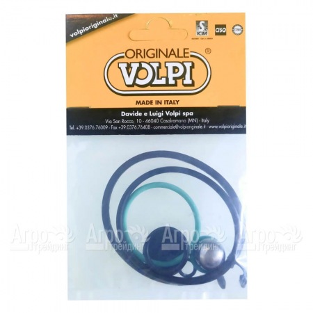 Ремкомплект 78TKBLIS для опрыскивателя Volpi UNI 81UG 12l в Челябинске