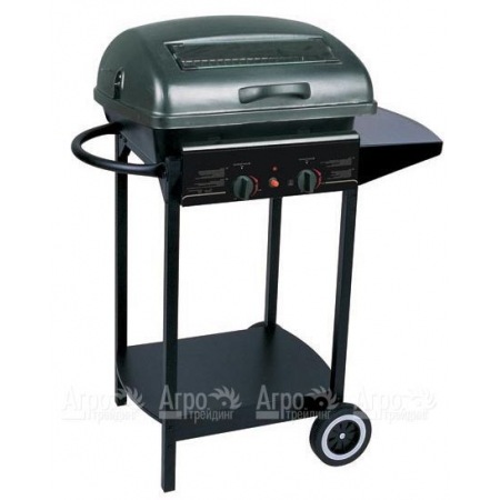 Гриль-барбекю газовый Green Glade RH-2210A в Челябинске