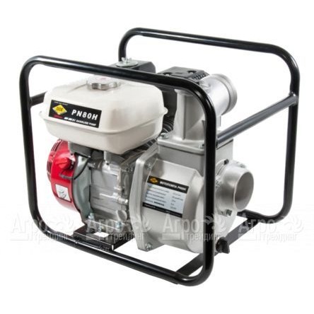 Бензиновая мотопомпа DDE PN80H в Челябинске