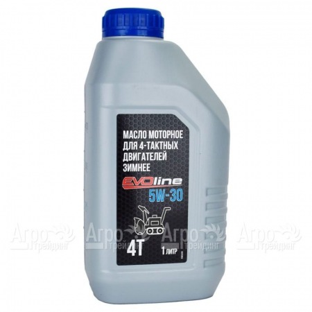 Масло моторное EVOline SAE 5W-30 API SN/CF 1 л для 4-х тактных двигателей в Челябинске