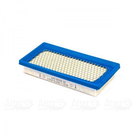 Воздушный фильтр Briggs&#38;Stratton 00009 в Челябинске