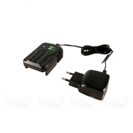 Зарядное устройство G24UC2 для моделей Greenworks 24 В в Челябинске