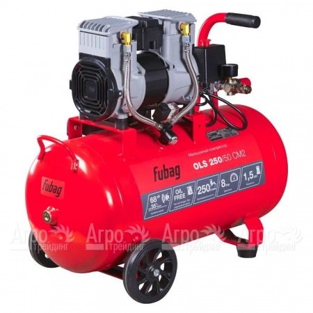 Компрессор безмасляный малошумный Fubag OLS 250/50 CM2 в Челябинске
