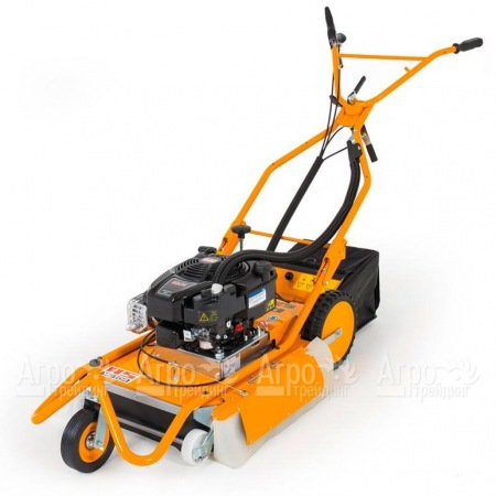 Машина для чистки плитки и брусчатки AS-Motor AS 50 WeedHex в Челябинске