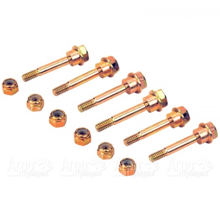 Husqvarna, Partner Срезные болты, в комплекте 6 шт. 5321882-43 в Челябинске