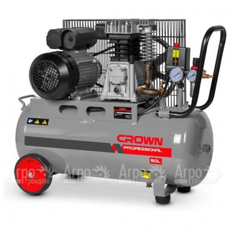 Компрессор воздушный Crown CT36030  в Челябинске