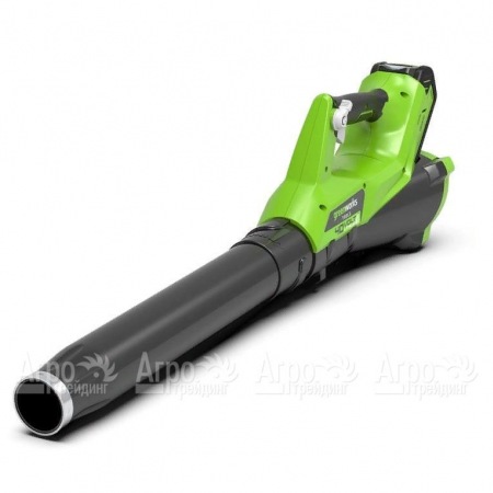 Воздуходувка аккумуляторная GreenWorks G40ABK3 в Челябинске