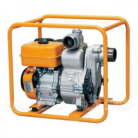 Бензиновая мотопомпа DaiShin PTX 301 T  в Челябинске