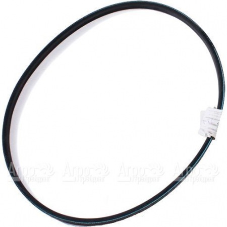 Ремень привода щетки G07352016 для подметальных машин AS-Motor AS 30 в Челябинске