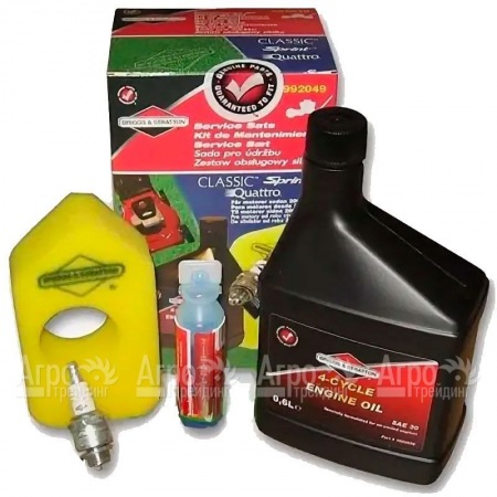 Набор для техобслуживания двигателей Briggs&#38;Stratton Classic, Sprint 992049 в Челябинске