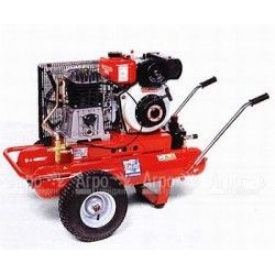 Компрессор дизельный Agri 55 Diesel в Челябинске