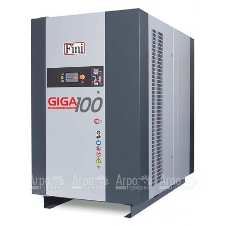 Винтовой компрессор Fini Giga 10010 в Челябинске
