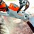 Аккумуляторная пила Stihl MSA 140 C-BQ-12 в Челябинске