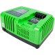Быстрое зарядное устройство Greenworks G40UC5 в Челябинске